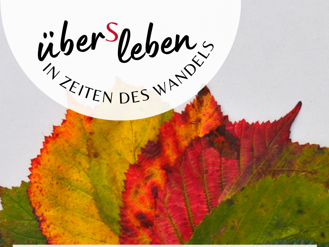 Button Internetseite zum Verlinken
