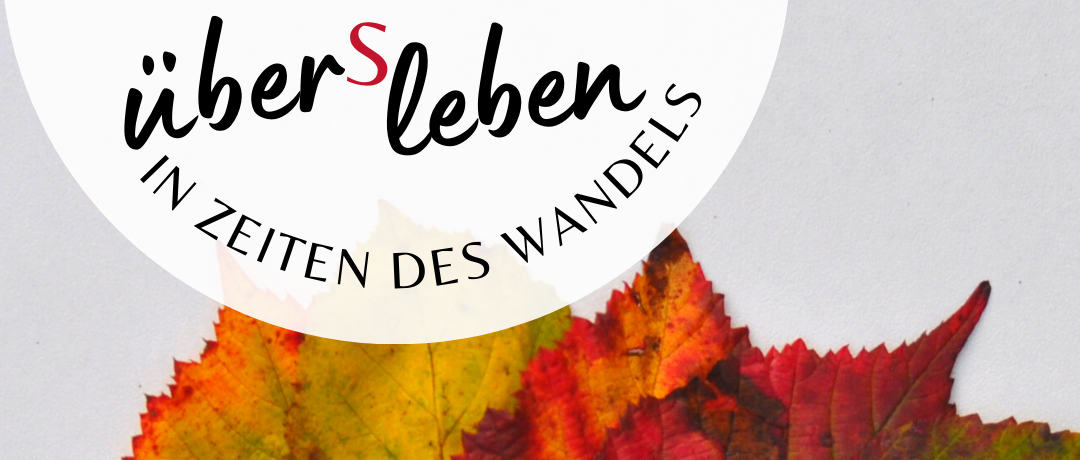 Button Internetseite zum Verlinken